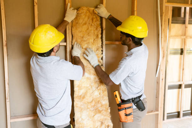 Best Blown-In Insulation  in South Oroville, CA