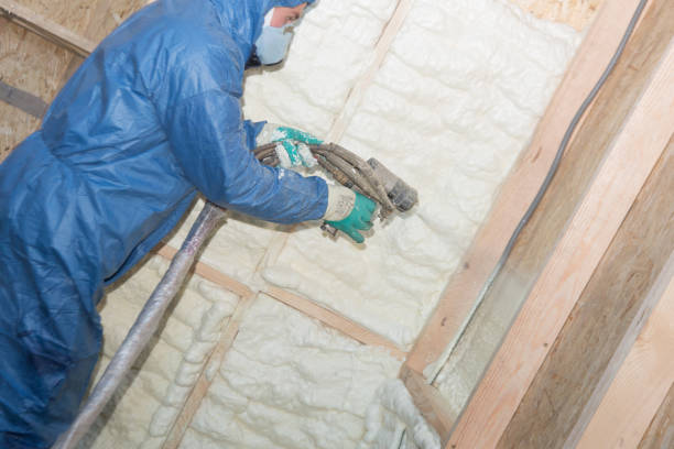 Best Crawl Space Insulation  in South Oroville, CA